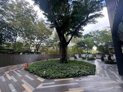 The Venue Shoppes (D13), Retail #473865941